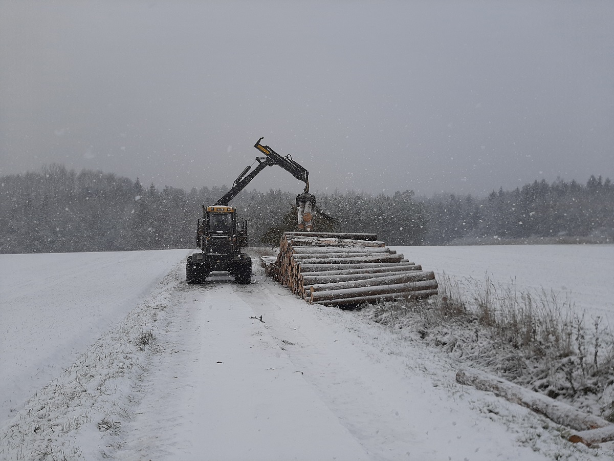 Rücker im Schnee