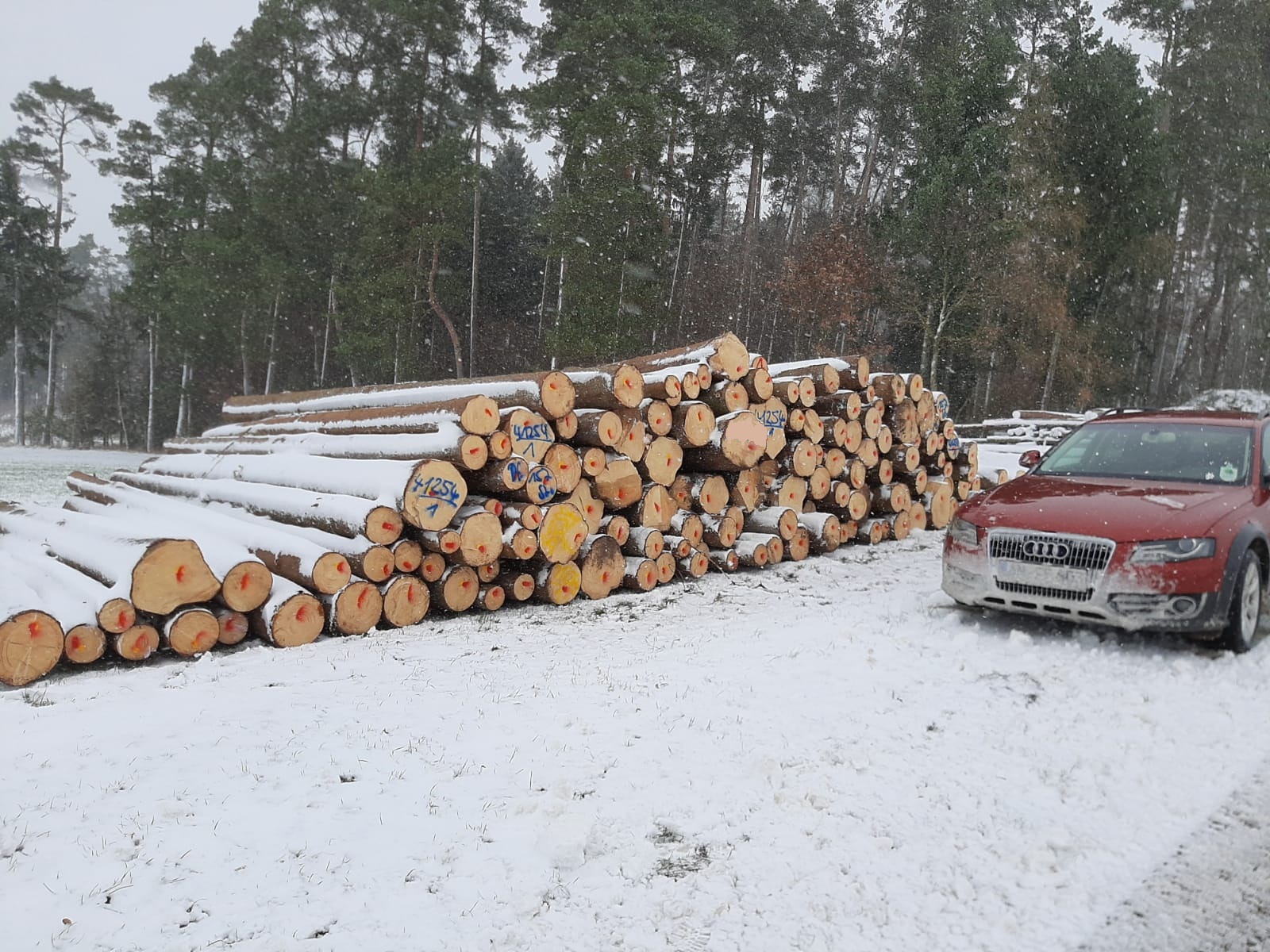 Winterpolter2
